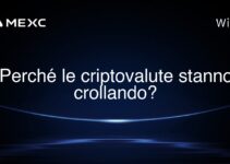 Perché le criptovalute stanno crollando?