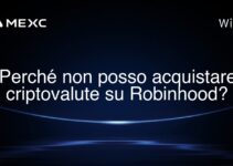 Perché non posso acquistare criptovalute su Robinhood?
