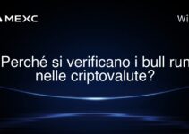 Perché si verificano i bull run nelle criptovalute?