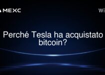 Perché Tesla ha acquistato bitcoin?