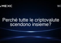 Perché tutte le criptovalute scendono insieme?