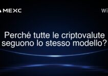 Perché tutte le criptovalute seguono lo stesso modello?