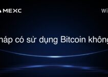 Pháp có sử dụng Bitcoin không?