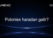 Poloniex haradan gəlir?