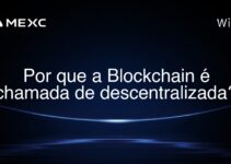 Por que a Blockchain é chamada de descentralizada?