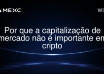 Por que a capitalização de mercado não é importante em cripto
