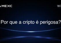 Por que a cripto é perigosa?