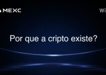 Por que a cripto existe?