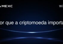 Por que a criptomoeda importa?