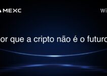 Por que a cripto não é o futuro?