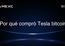 ¿Por qué compró Tesla bitcoin?