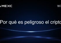 ¿Por qué es peligroso el cripto?