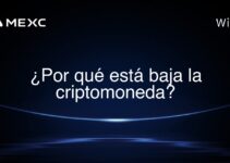 ¿Por qué está baja la criptomoneda?