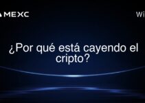 ¿Por qué está cayendo el cripto?