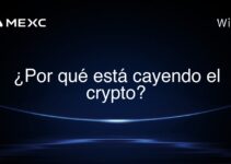 ¿Por qué está cayendo el crypto?
