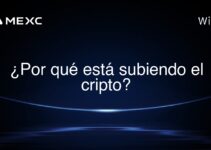 ¿Por qué está subiendo el cripto?