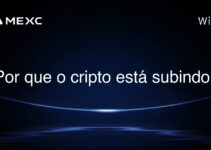Por que o cripto está subindo?