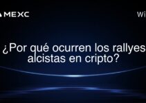 ¿Por qué ocurren los rallyes alcistas en cripto?