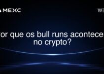Por que os bull runs acontecem no crypto?