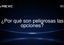 ¿Por qué son peligrosas las opciones?