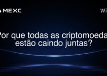 Por que todas as criptomoedas estão caindo juntas?