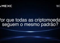 Por que todas as criptomoedas seguem o mesmo padrão?