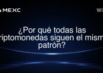 ¿Por qué todas las criptomonedas siguen el mismo patrón?
