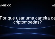 Por que usar uma carteira de criptomoedas?