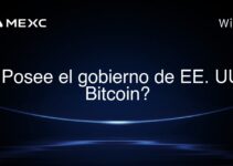 ¿Posee el gobierno de EE. UU. Bitcoin?
