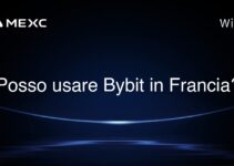Posso usare Bybit in Francia?