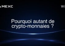 Pourquoi autant de crypto-monnaies ?
