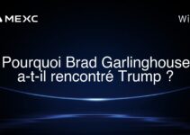 Pourquoi Brad Garlinghouse a-t-il rencontré Trump ?