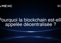 Pourquoi la blockchain est-elle appelée décentralisée ?