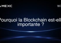 Pourquoi la Blockchain est-elle importante ?