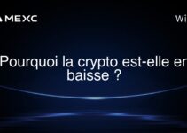 Pourquoi la crypto est-elle en baisse ?