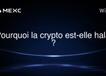 Pourquoi la crypto est-elle halal ?