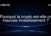 Pourquoi la crypto est-elle un mauvais investissement ?