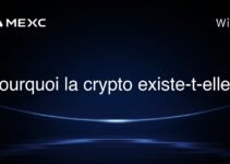 Pourquoi la crypto existe-t-elle ?