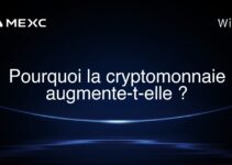 Pourquoi la cryptomonnaie augmente-t-elle ?