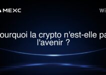 Pourquoi la crypto n’est-elle pas l’avenir ?