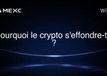 Pourquoi le crypto s’effondre-t-il ?