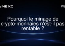 Pourquoi le minage de crypto-monnaies n’est-il pas rentable ?