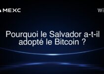Pourquoi le Salvador a-t-il adopté le Bitcoin ?