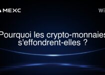 Pourquoi les crypto-monnaies s’effondrent-elles ?