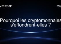Pourquoi les cryptomonnaies s’effondrent-elles ?