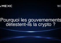 Pourquoi les gouvernements détestent-ils la crypto ?