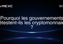 Pourquoi les gouvernements détestent-ils les cryptomonnaies ?