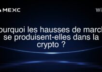 Pourquoi les hausses de marché se produisent-elles dans la crypto ?