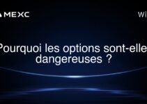 Pourquoi les options sont-elles dangereuses ?