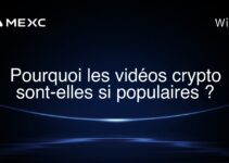 Pourquoi les vidéos crypto sont-elles si populaires ?